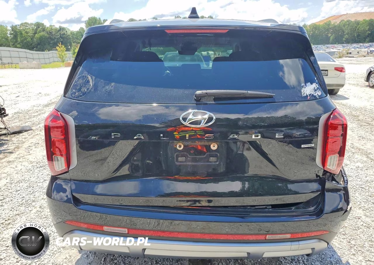 2024 Hyundai Palisade Sel Premium VIN:KM8R4DGE8RU677853 - 6