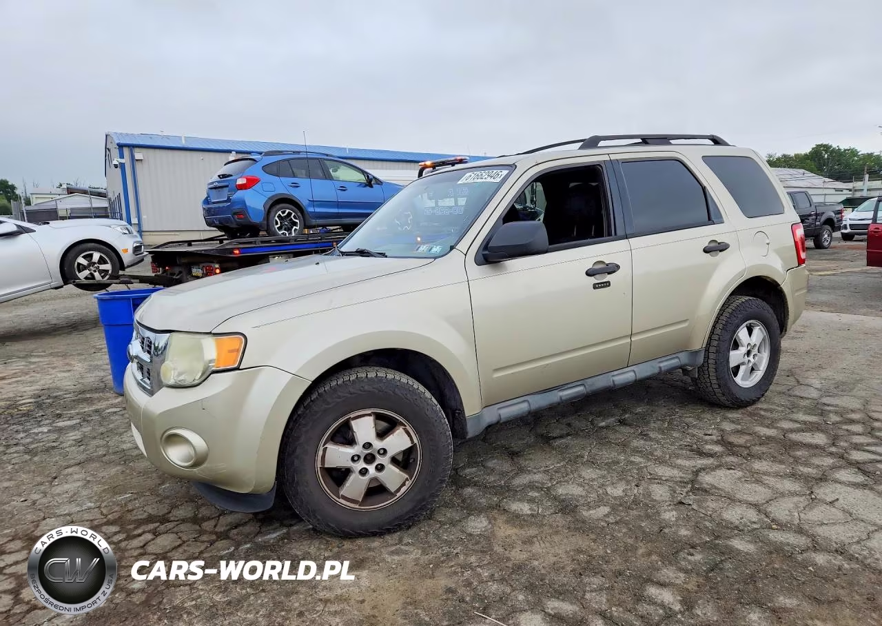 2010 Ford Escape Xlt