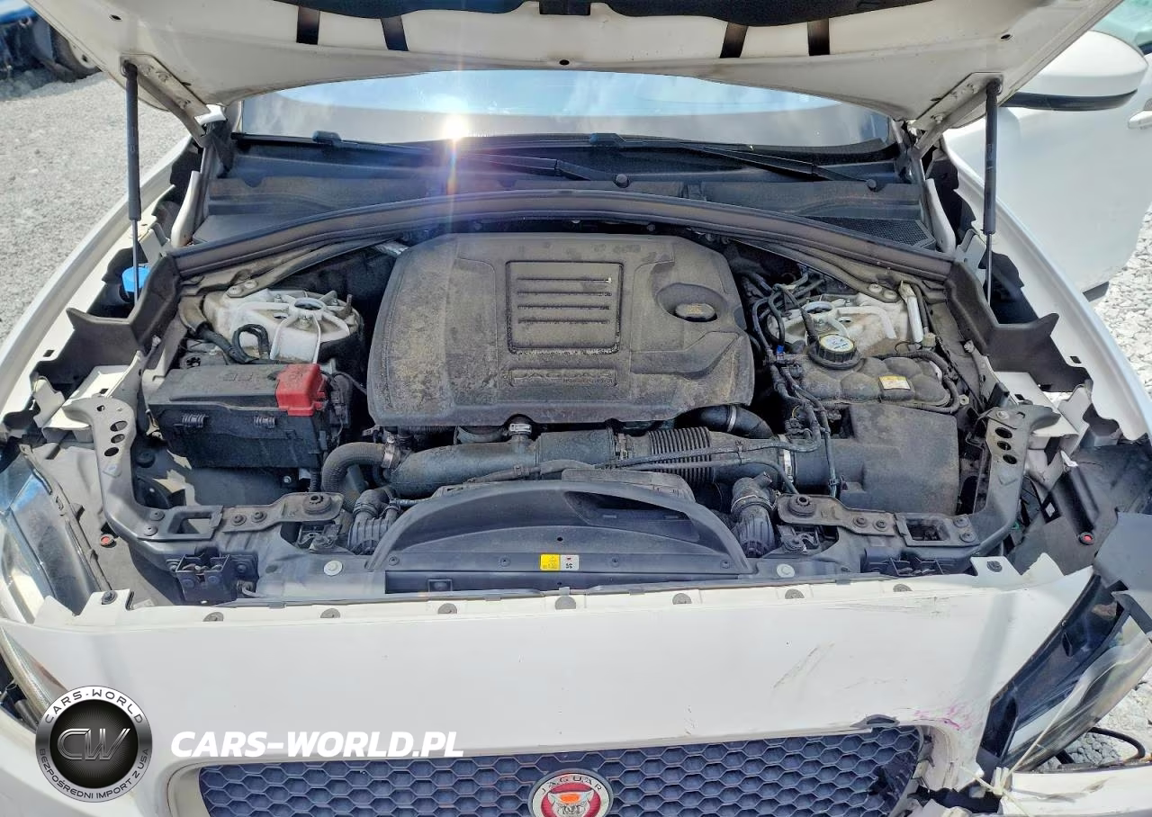 2019 Jaguar F-Pace R - Sport VIN:SADCL2GX4KA396860 - 11