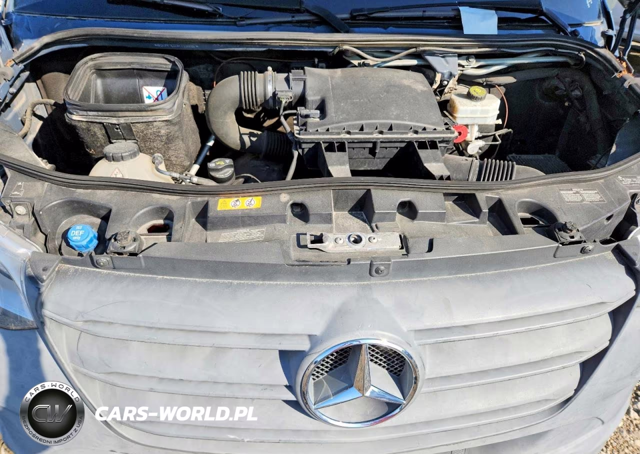 2019 Mercedes-Benz Sprinter 2500-3500 VIN:WD4PF1CD3KT006884 - 12