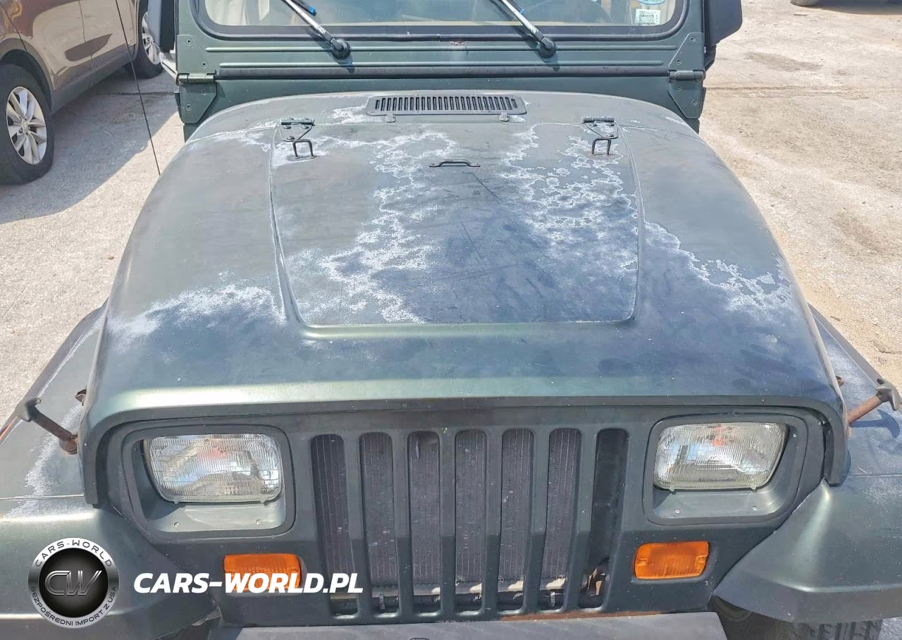 1995 Jeep Wrangler - Yj S VIN:1J4FY19P0SP220252 - 11