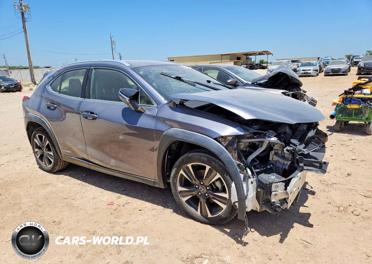 2019 Lexus Ux 250H VIN:JTHU9JBH1K2019419 - 4