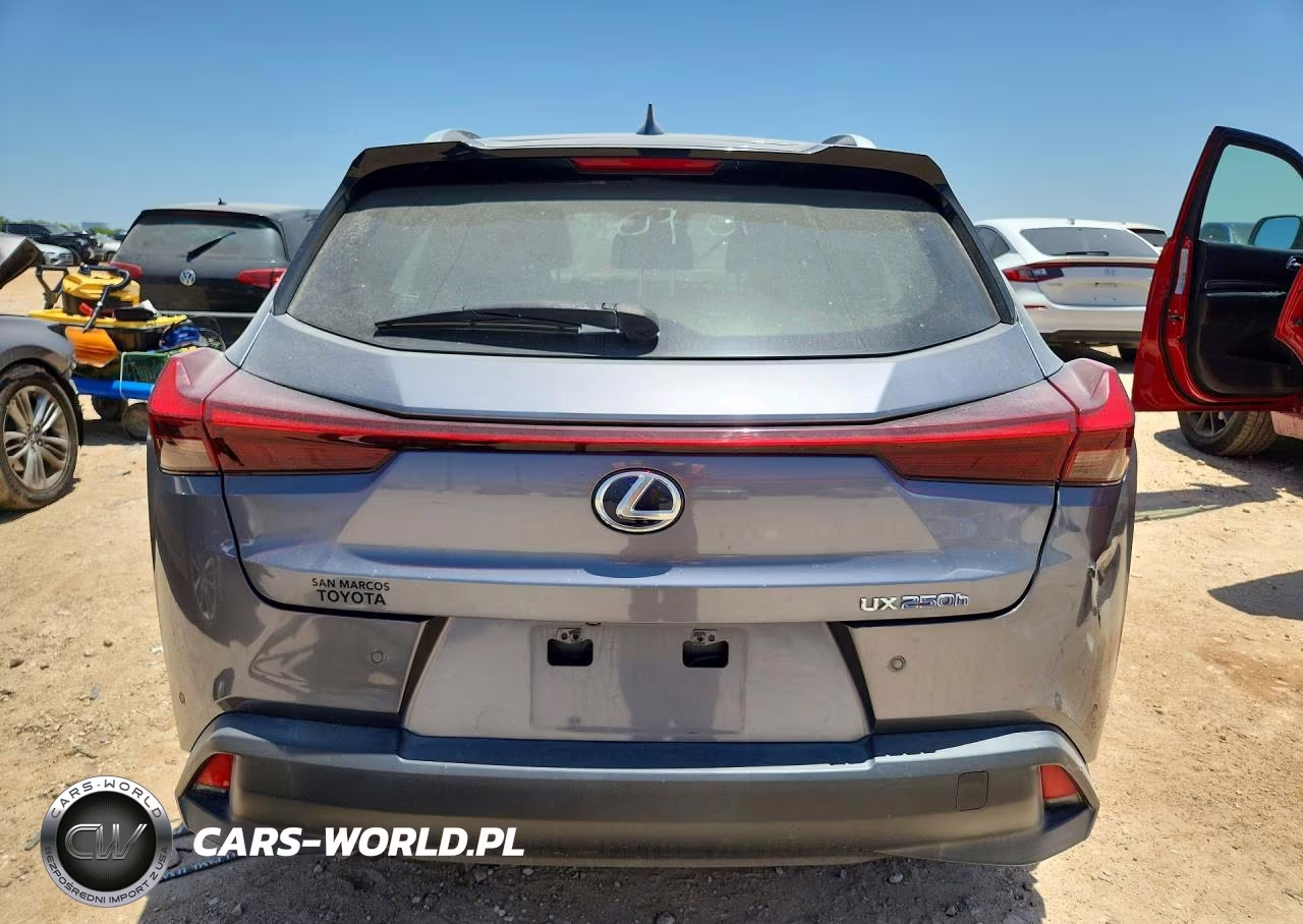2019 Lexus Ux 250H VIN:JTHU9JBH1K2019419 - 6
