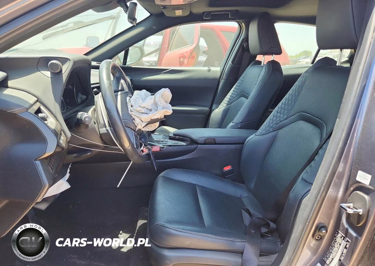 2019 Lexus Ux 250H VIN:JTHU9JBH1K2019419 - 7
