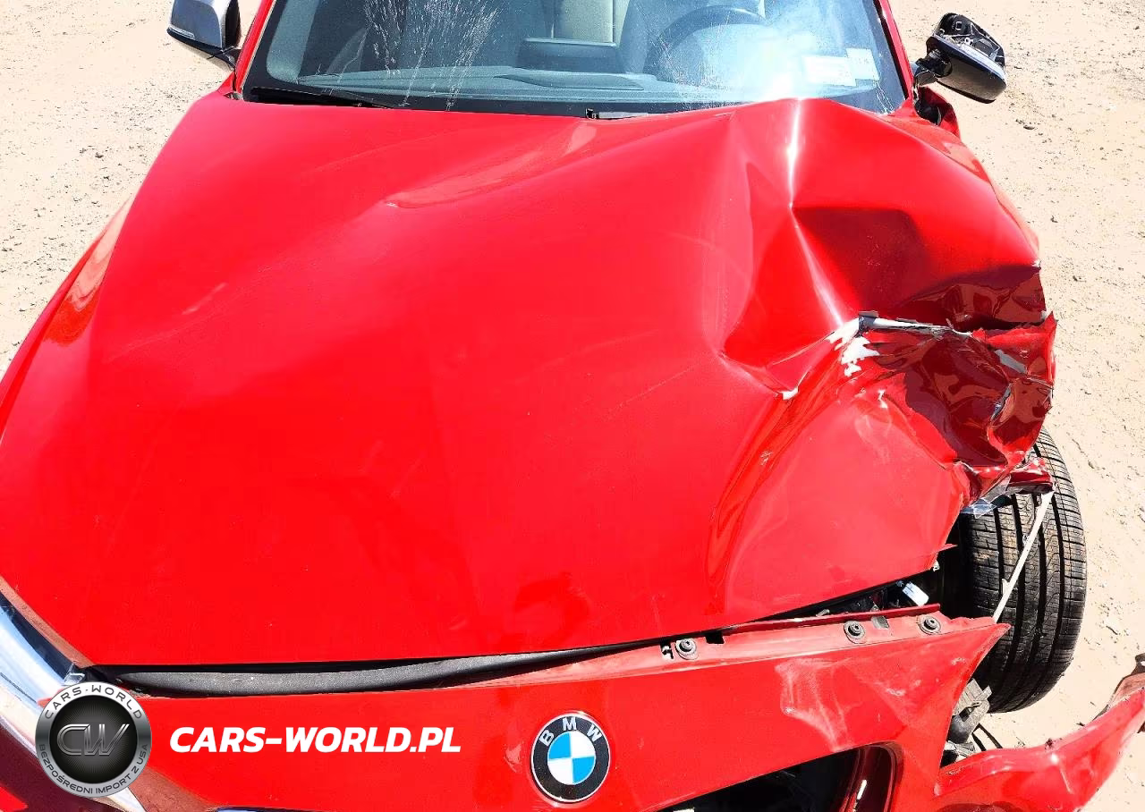2016 BMW M235Xi VIN:WBA1J9C53GV696473 - 11