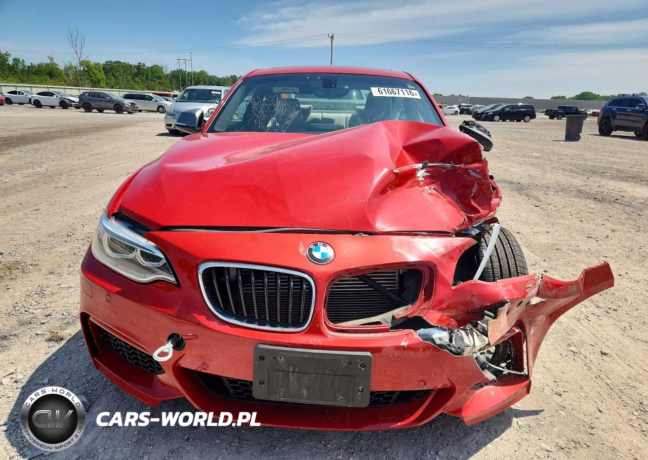 2016 BMW M235Xi VIN:WBA1J9C53GV696473 - 5
