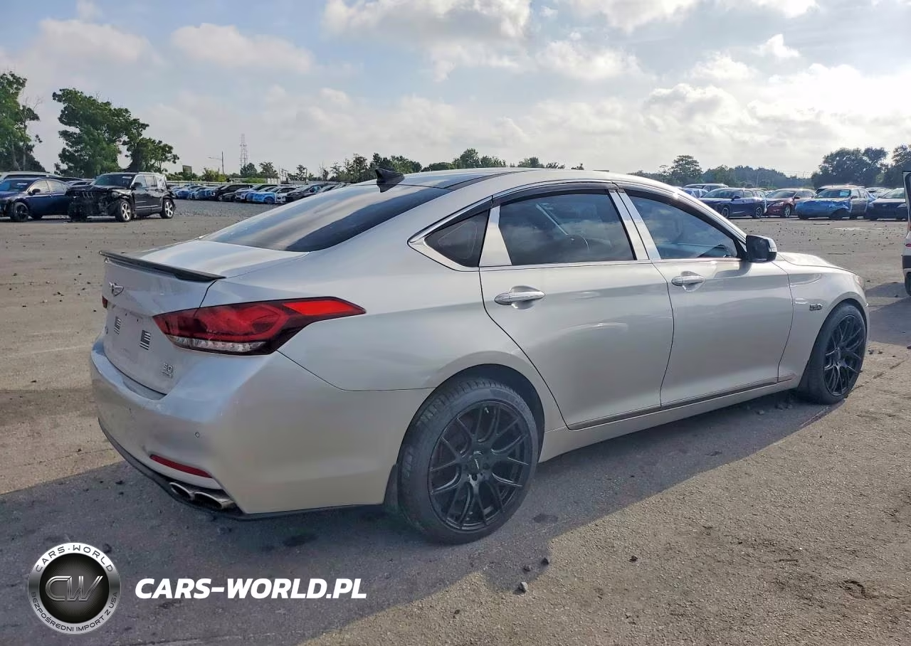 2015 Hyundai Genesis 5.0L VIN:KMHGN4JF3FU019553 - 3