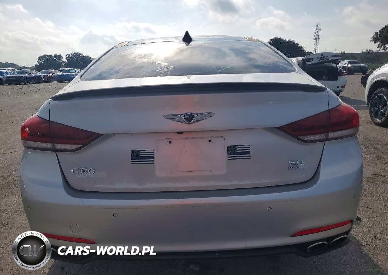 2015 Hyundai Genesis 5.0L VIN:KMHGN4JF3FU019553 - 6