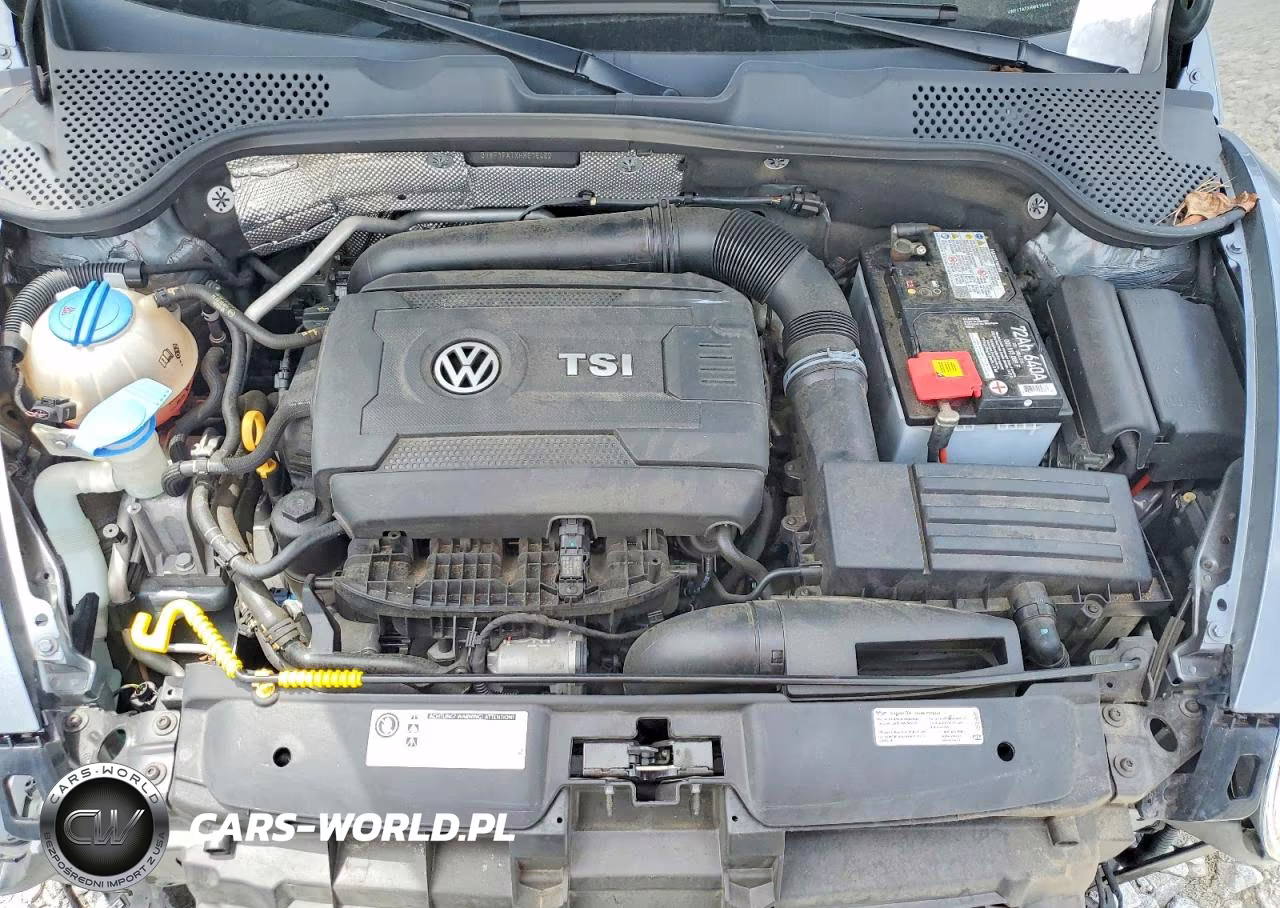 2017 Volkswagen Beetle 1.8T VIN:3VWF17ATXHM619462 - 11