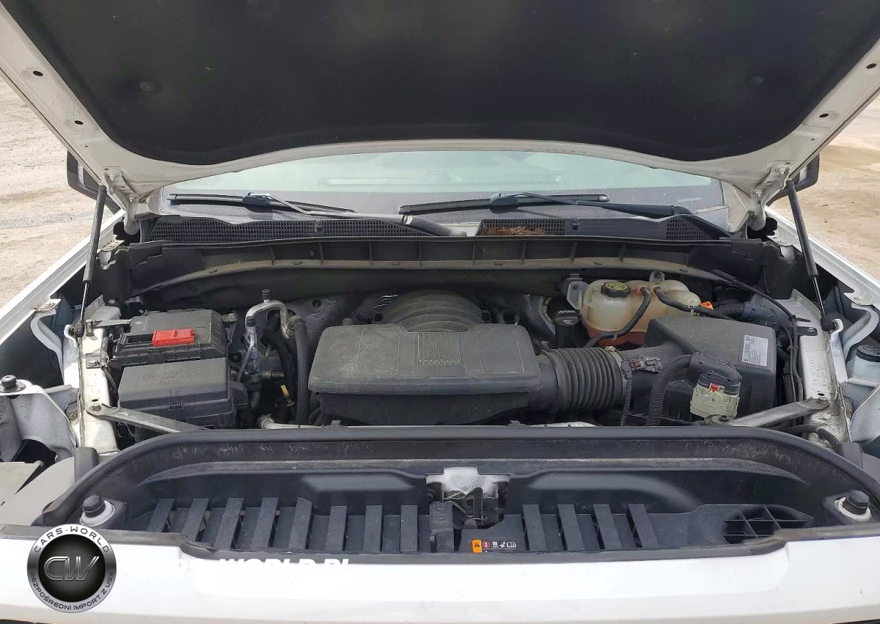 2019 GMC Sierra C1500 Elevation VIN:1GTV8CED0KZ317979 - 11