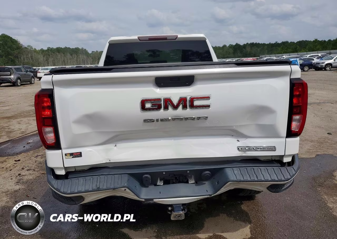 2019 GMC Sierra C1500 Elevation VIN:1GTV8CED0KZ317979 - 6