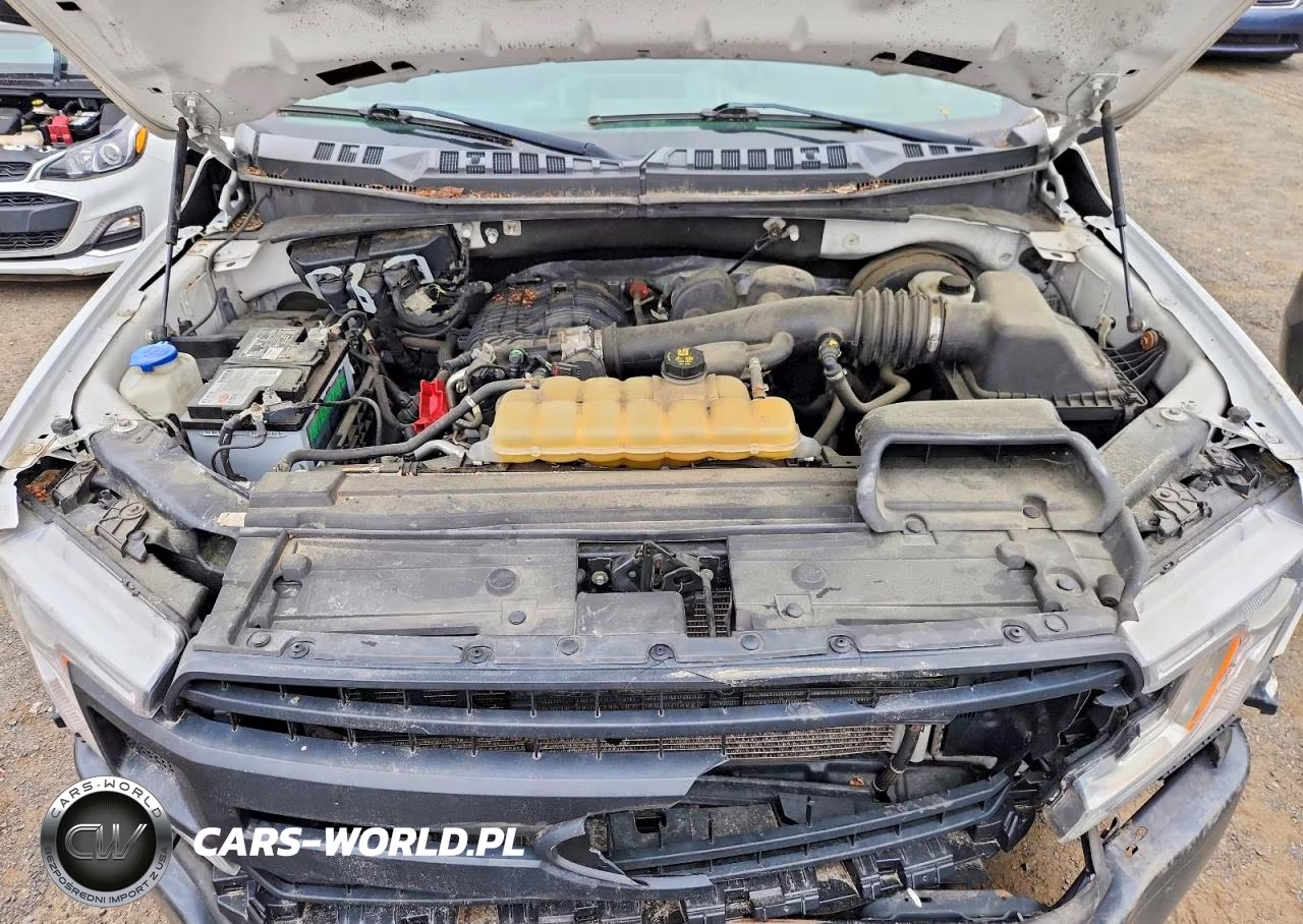 2019 Ford F150 VIN:1FTMF1CB2KKF06262 - 11