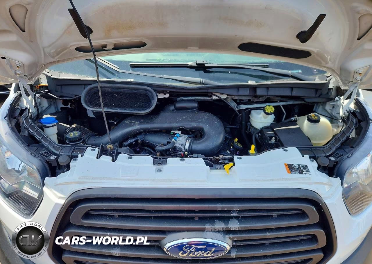 2019 Ford Transit T-250 VIN:1FTYR2CM7KKB53484 - 12