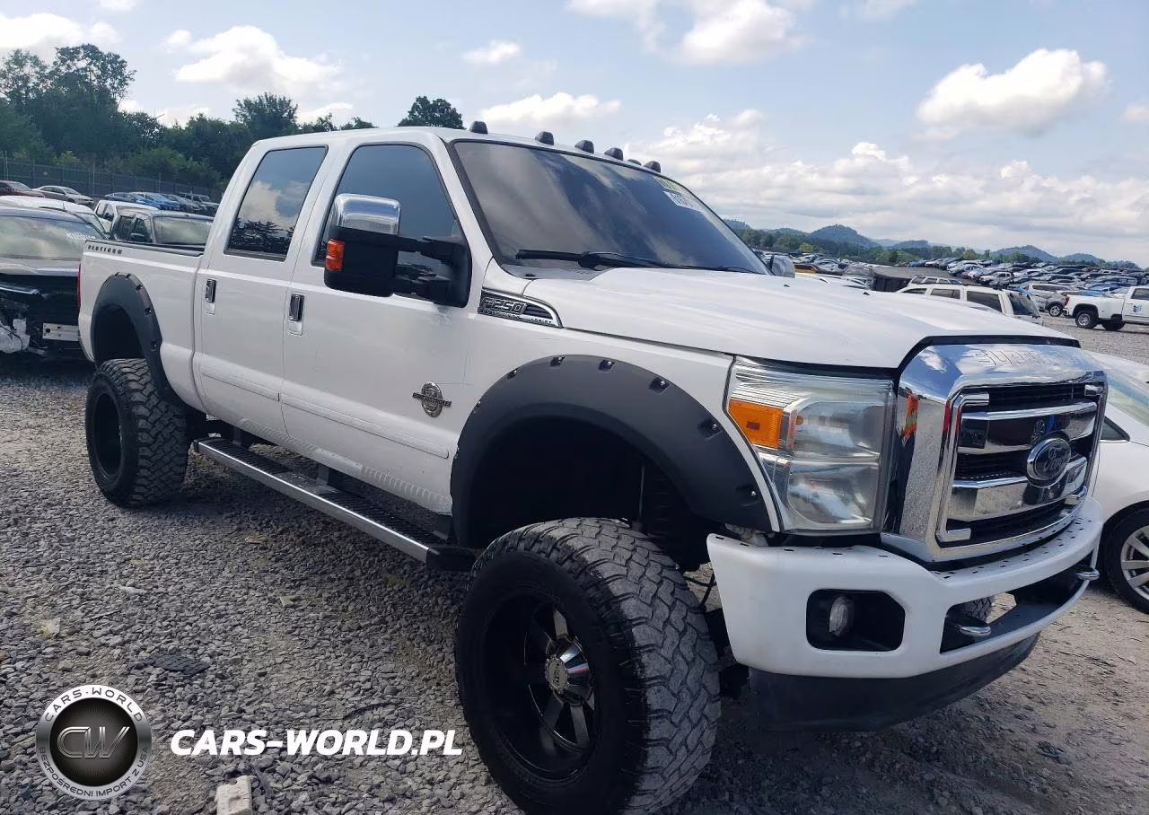2014 FORD F250 SUPER DUTY VIN:1FT7W2BT8EEA83655 - 4