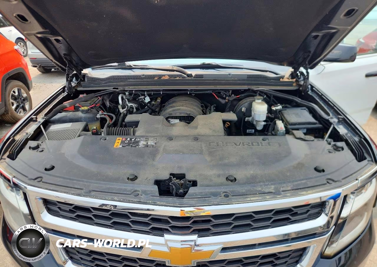 2019 Chevrolet Tahoe Police VIN:1GNSKDEC0KR175772 - 12