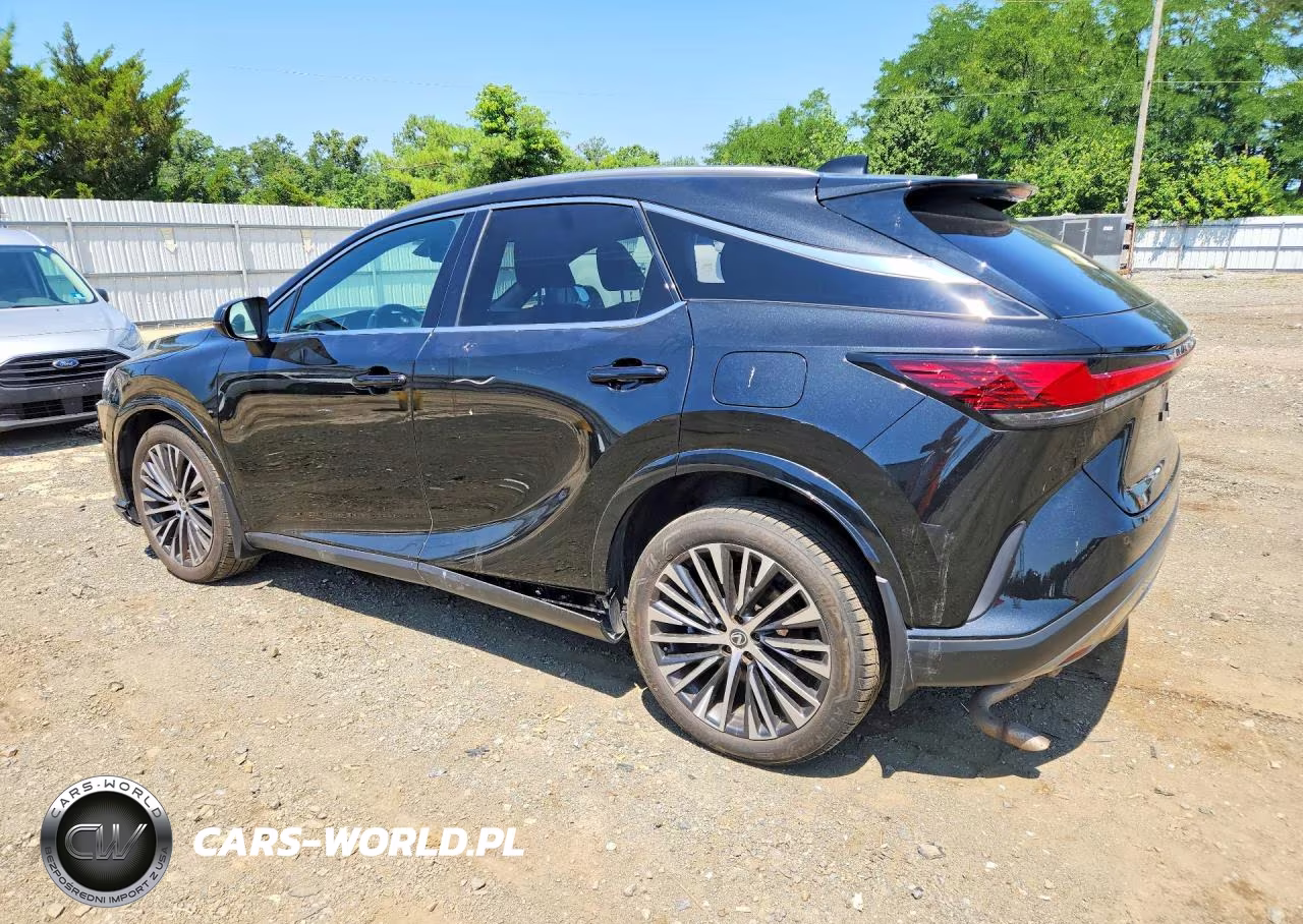 2023 Lexus Rx 350 Premium+ VIN:2T2BAMCA2PC004743 - 2