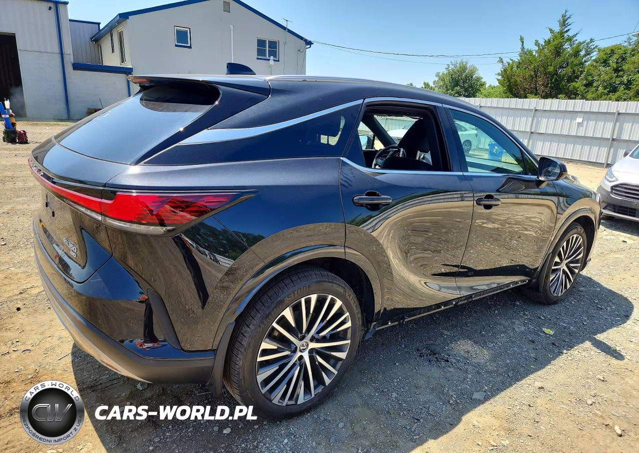 2023 Lexus Rx 350 Premium+ VIN:2T2BAMCA2PC004743 - 3