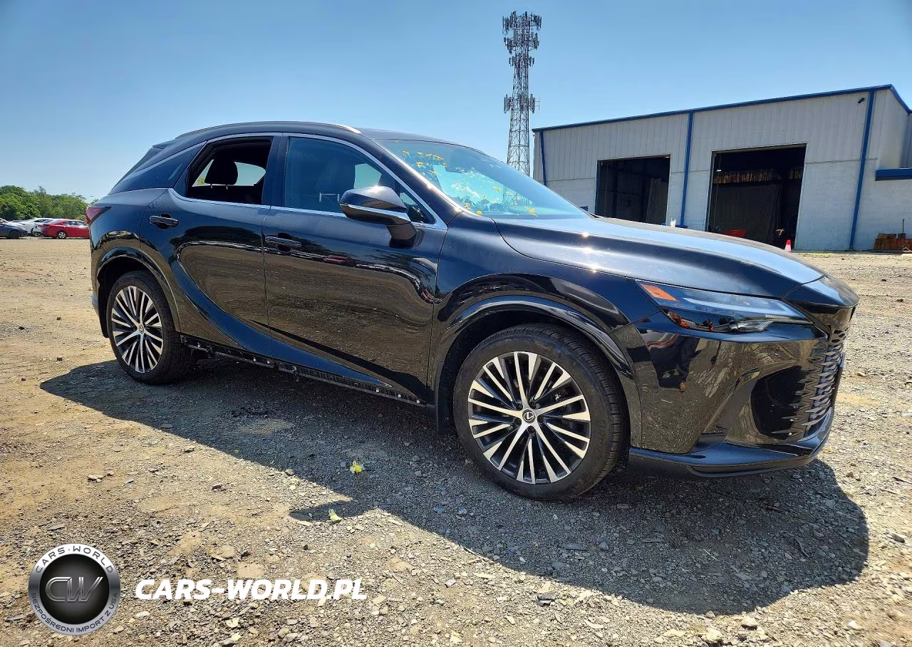 2023 Lexus Rx 350 Premium+ VIN:2T2BAMCA2PC004743 - 4