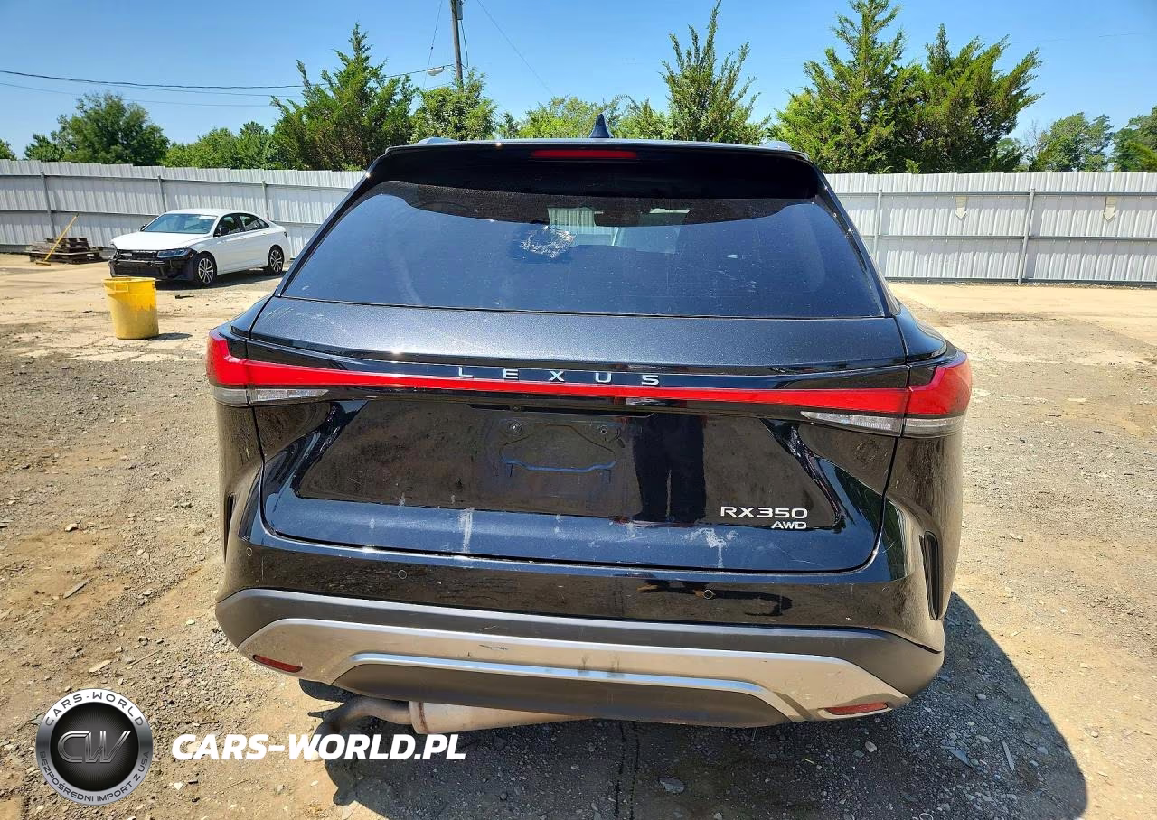 2023 Lexus Rx 350 Premium+ VIN:2T2BAMCA2PC004743 - 6