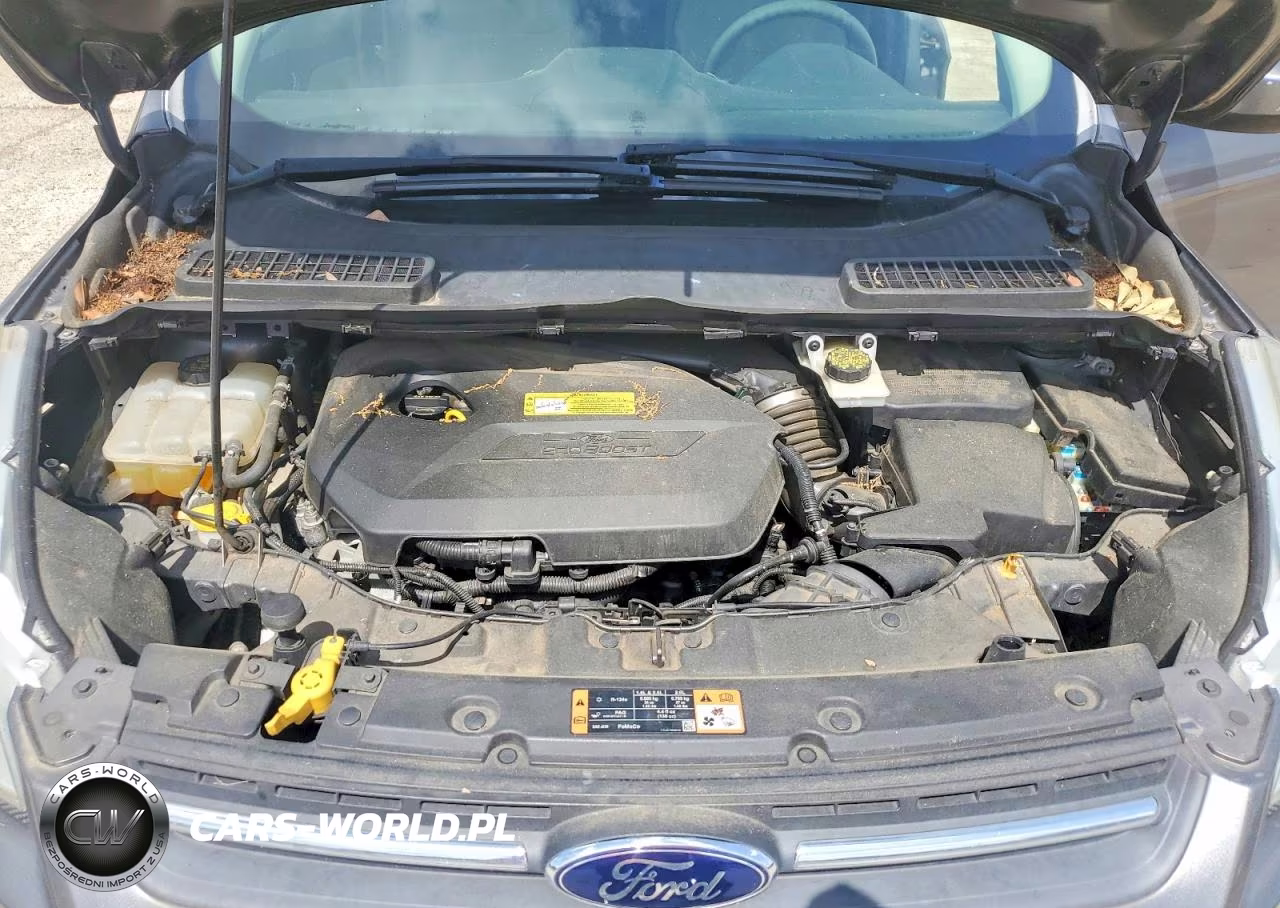 2014 Ford Escape Se VIN:1FMCU9GX7EUC04802 - 11