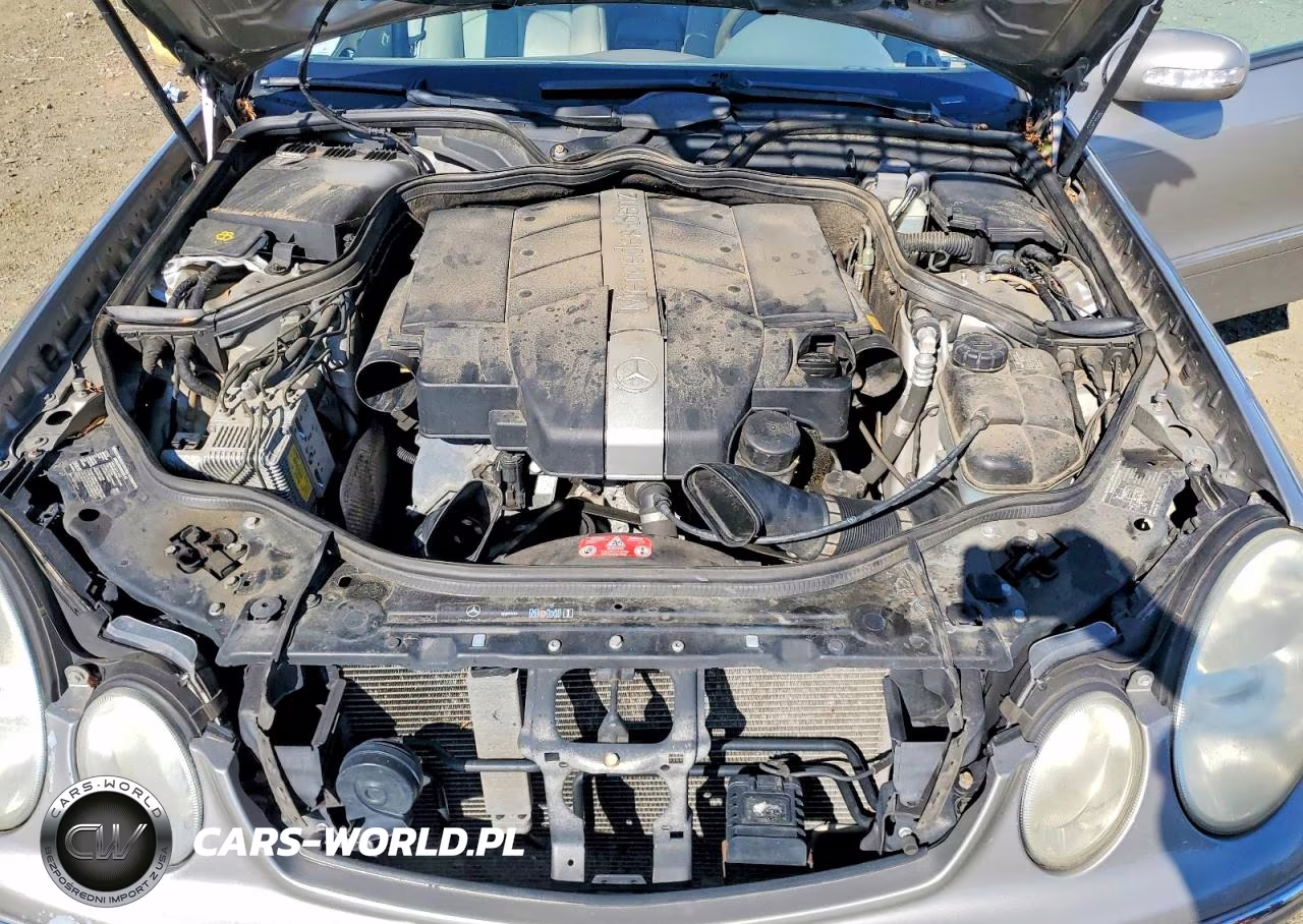 2004 Mercedes-Benz E 320 VIN:WDBUF65J14A463459 - 11