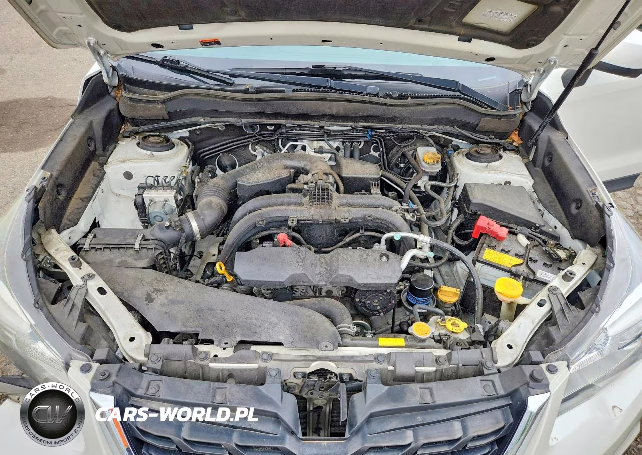 2018 Subaru Forester 2.5I Premium VIN:JF2SJAECXJH534397 - 12