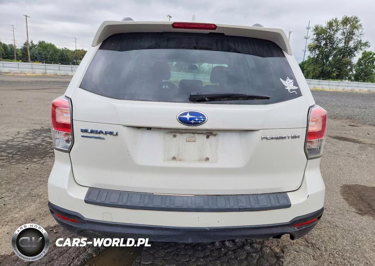 2018 Subaru Forester 2.5I Premium VIN:JF2SJAECXJH534397 - 6