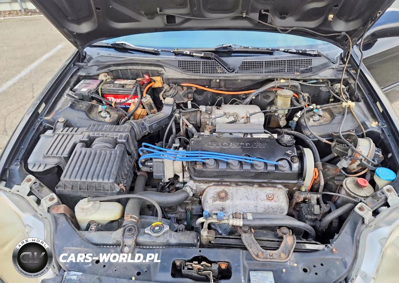 2000 Honda Civic Ex VIN:1HGEJ8247YL120438 - 11
