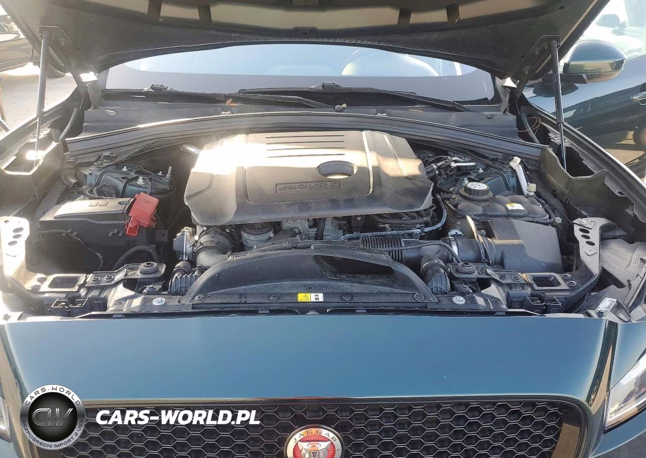 2017 Jaguar F-Pace Premium VIN:SADCJ2BN5HA085409 - 12