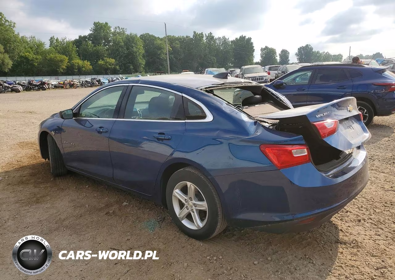 2019 Chevrolet Malibu Ls VIN:1G1ZB5ST5KF210835 - 2
