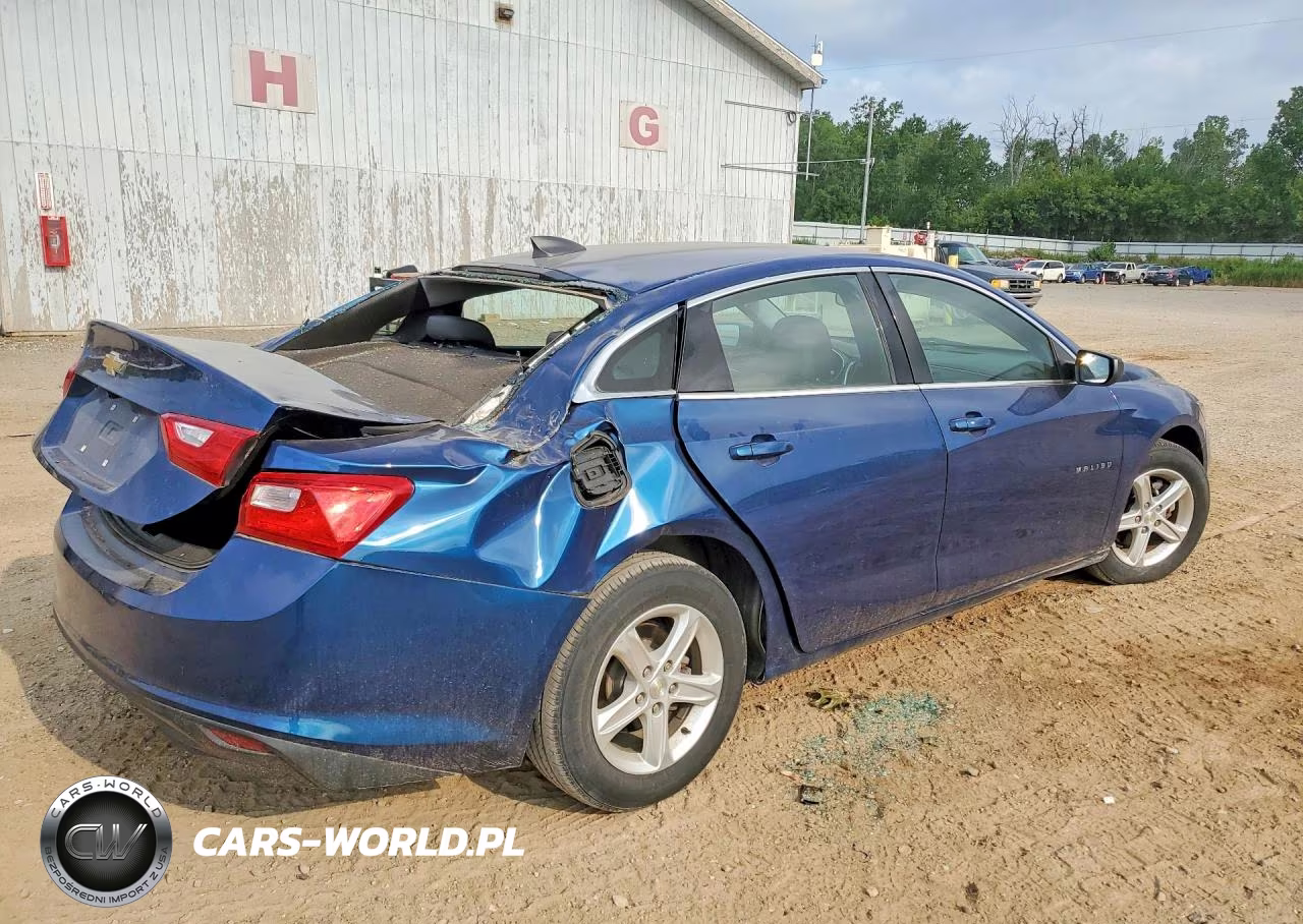 2019 Chevrolet Malibu Ls VIN:1G1ZB5ST5KF210835 - 3