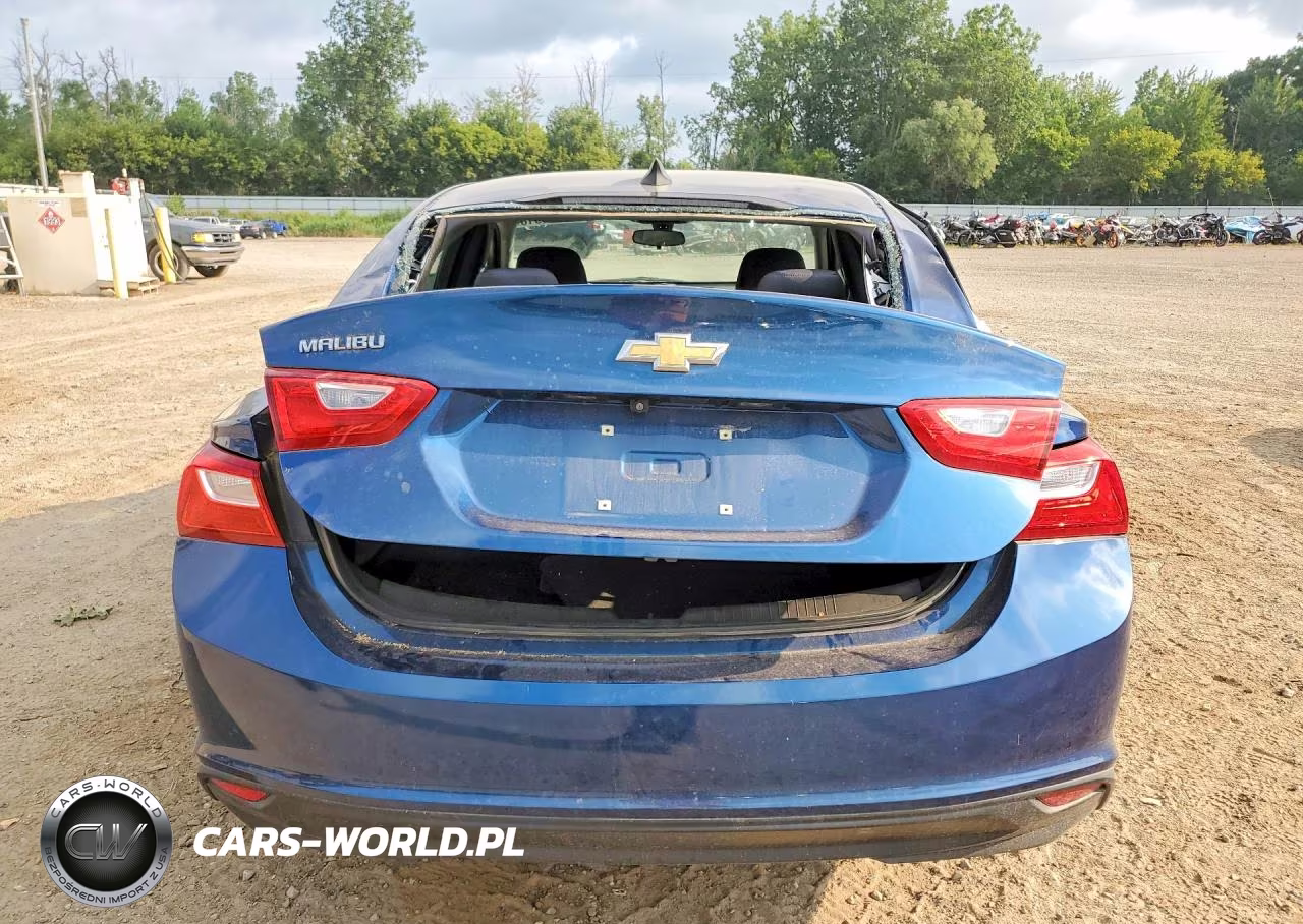 2019 Chevrolet Malibu Ls VIN:1G1ZB5ST5KF210835 - 6