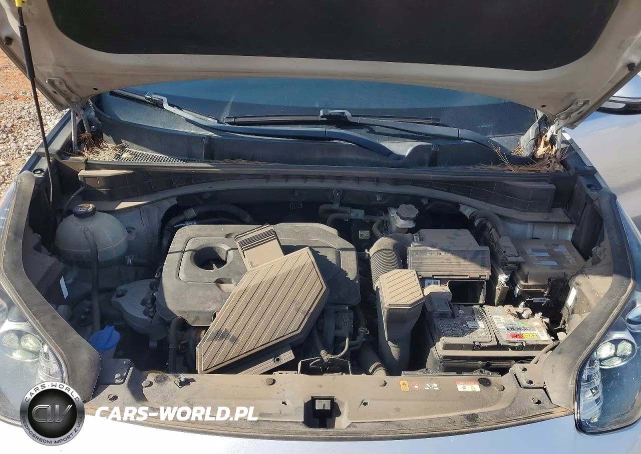 2020 Kia Sportage Ex VIN:KNDPN3AC6L7737385 - 12