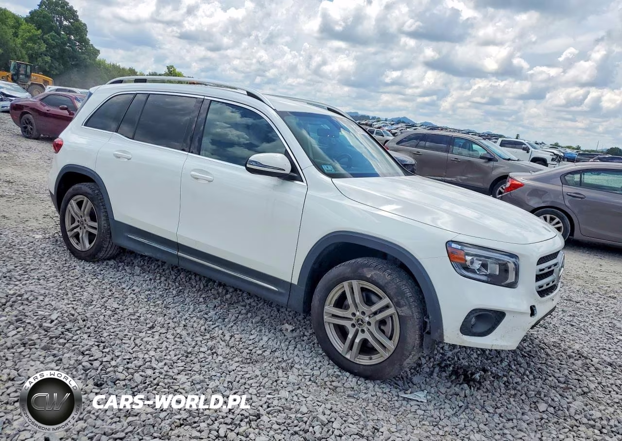 2020 Mercedes-Benz Glb 250 4Matic VIN:W1N4M4HB1LW051178 - 4