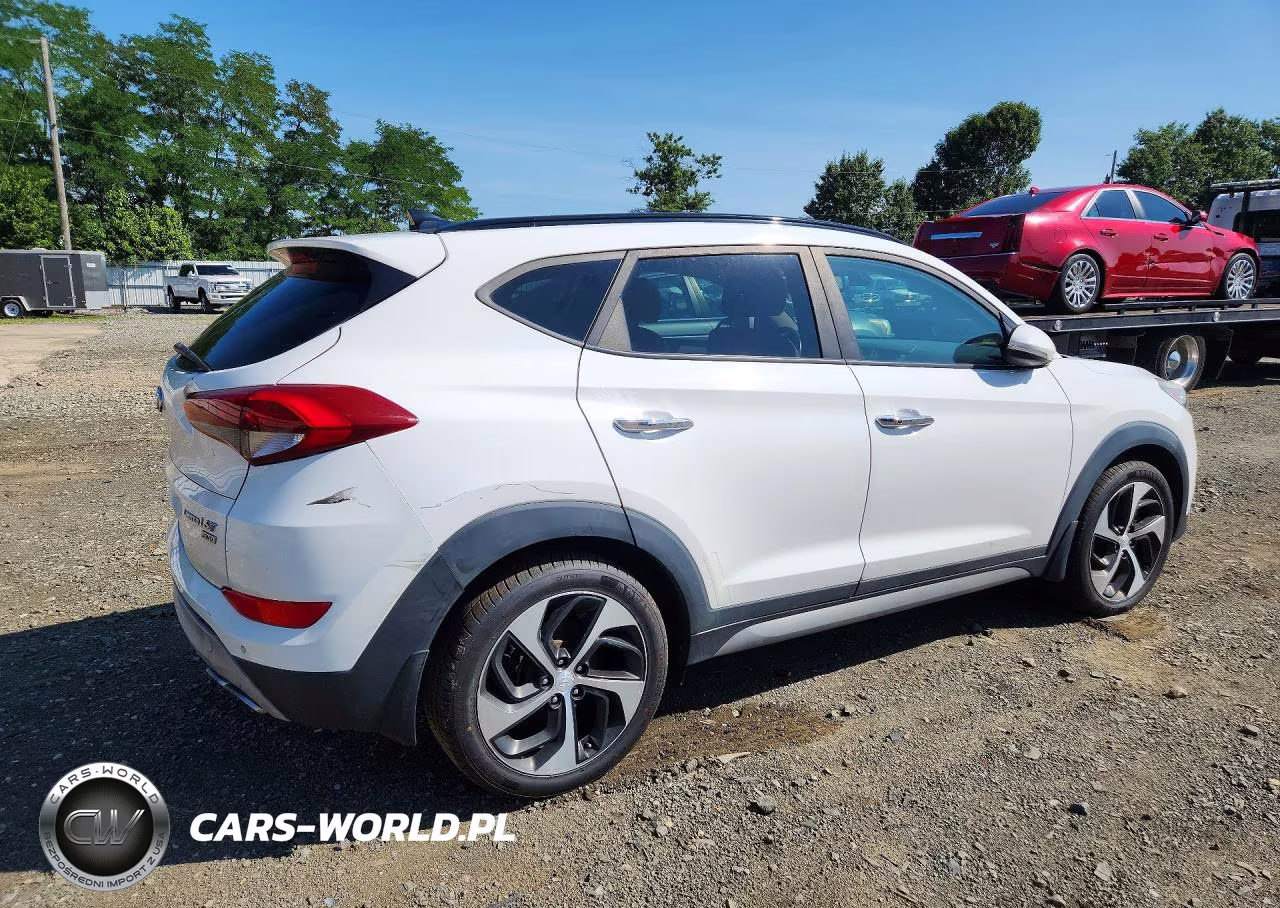 2017 Hyundai Tucson Limited VIN:KM8J3CA22HU289010 - 3