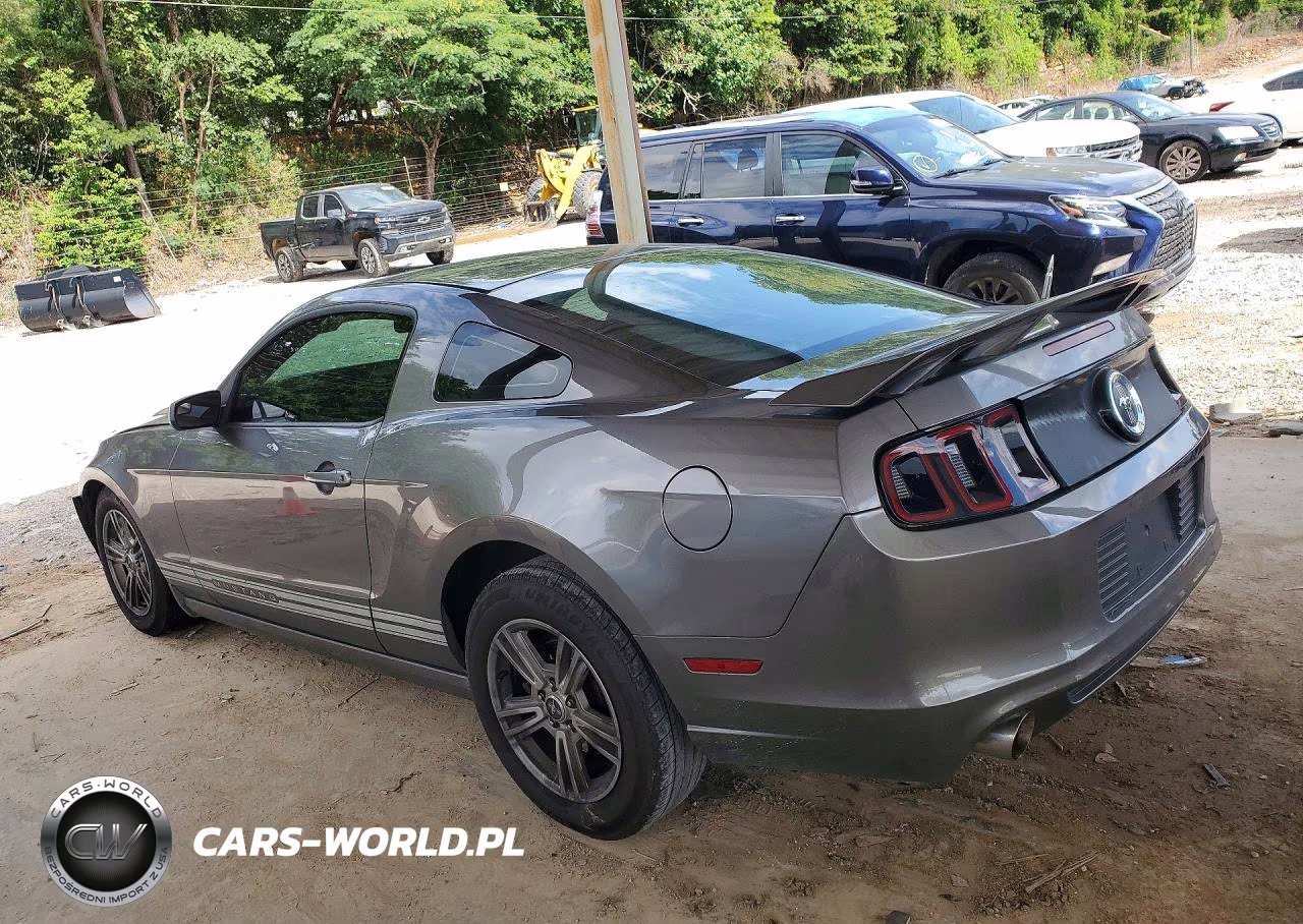 2014 Ford Mustang VIN:1ZVBP8AM7E5256034 - 2