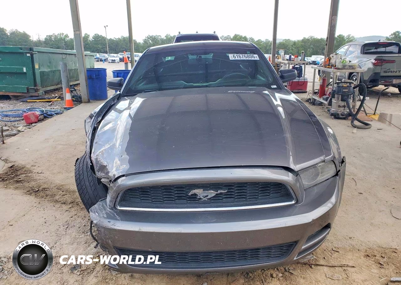 2014 Ford Mustang VIN:1ZVBP8AM7E5256034 - 5