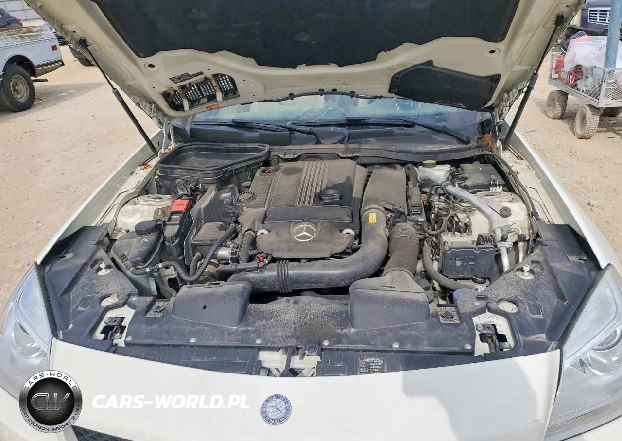 2013 Mercedes-Benz Slk 250 VIN:WDDPK4HA5DF058238 - 11