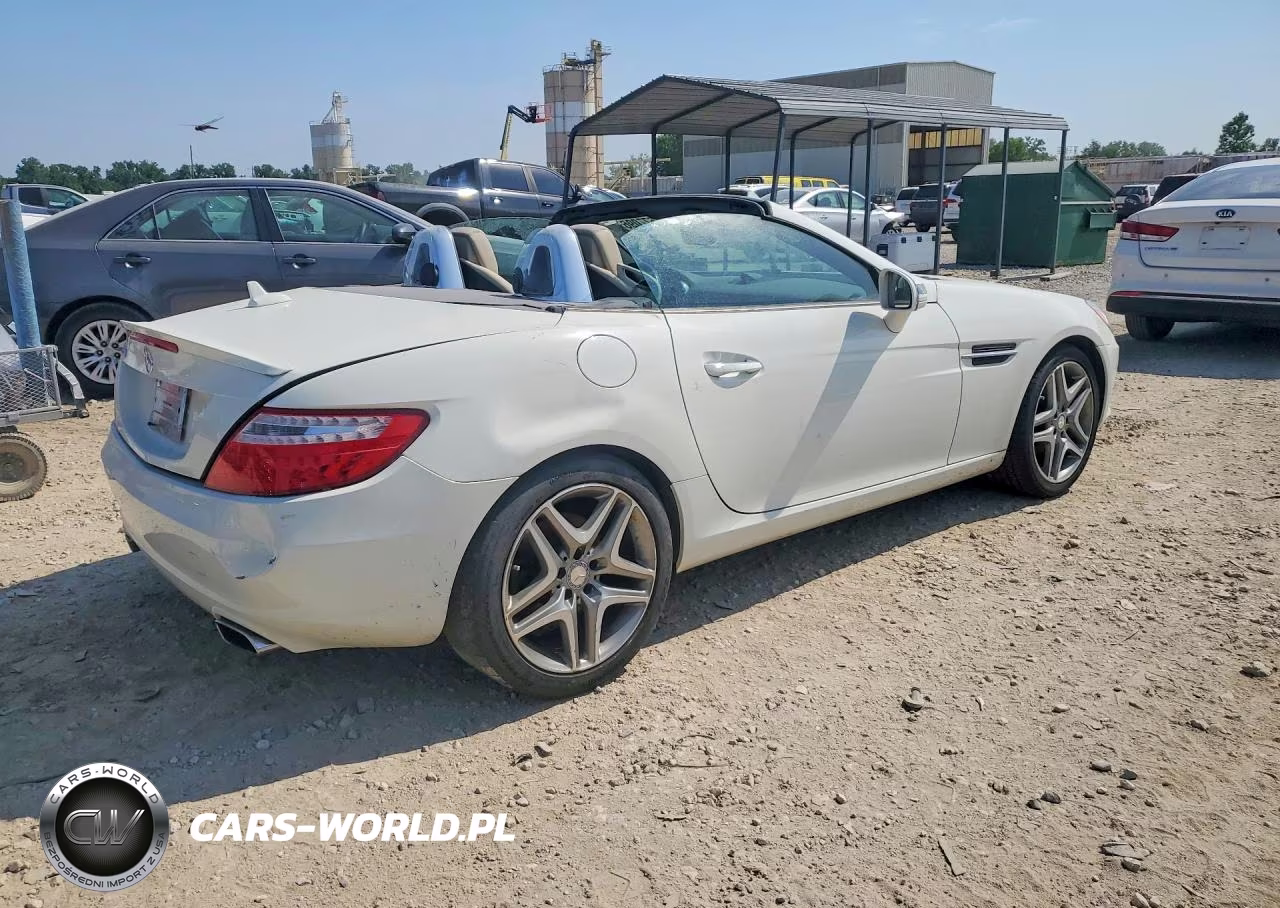 2013 Mercedes-Benz Slk 250 VIN:WDDPK4HA5DF058238 - 3