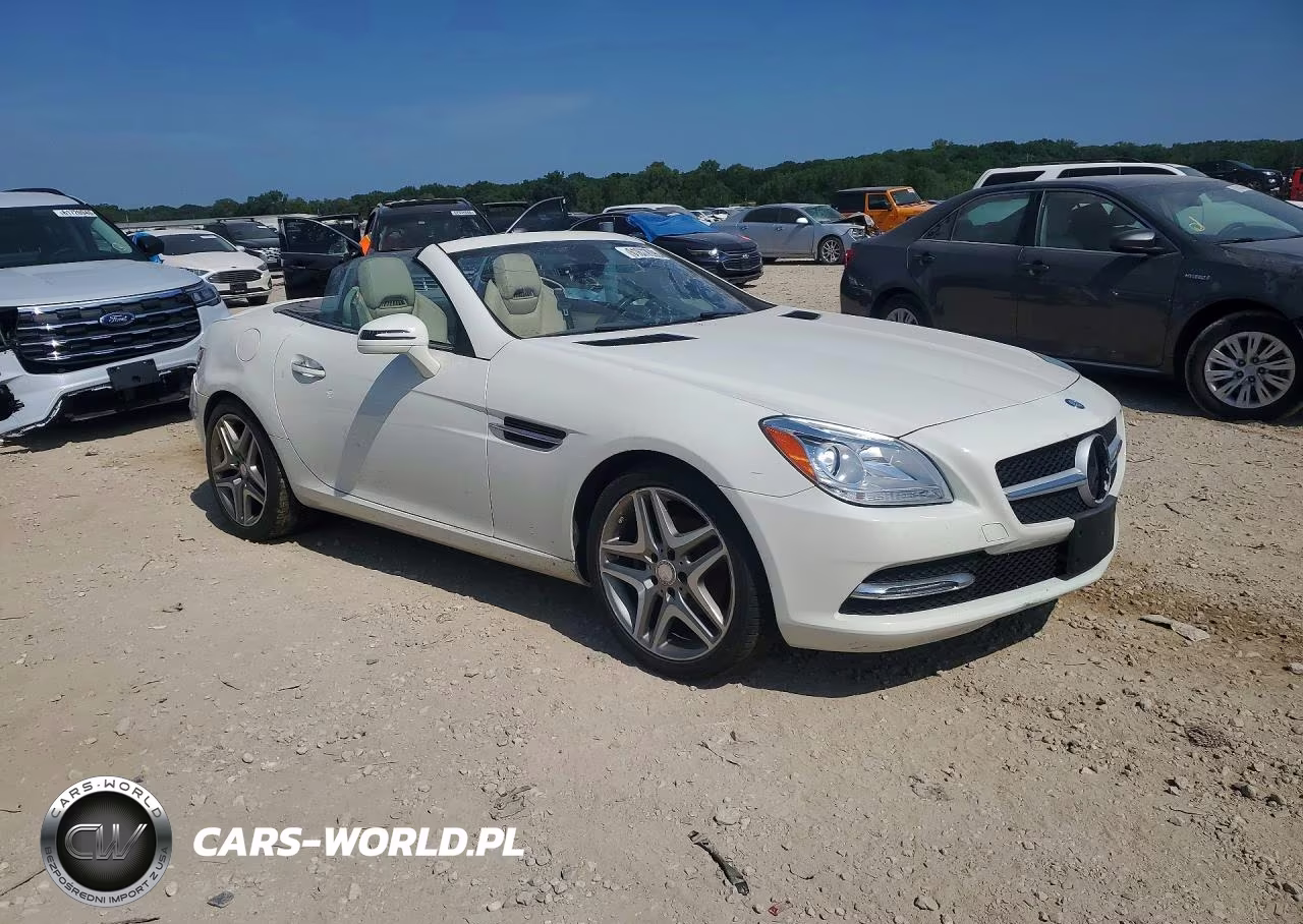 2013 Mercedes-Benz Slk 250 VIN:WDDPK4HA5DF058238 - 4