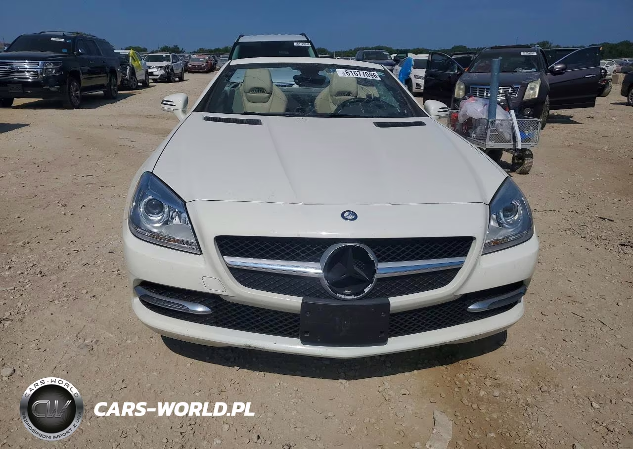 2013 Mercedes-Benz Slk 250 VIN:WDDPK4HA5DF058238 - 5