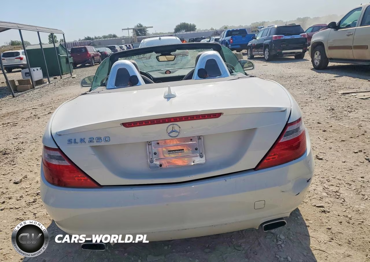 2013 Mercedes-Benz Slk 250 VIN:WDDPK4HA5DF058238 - 6