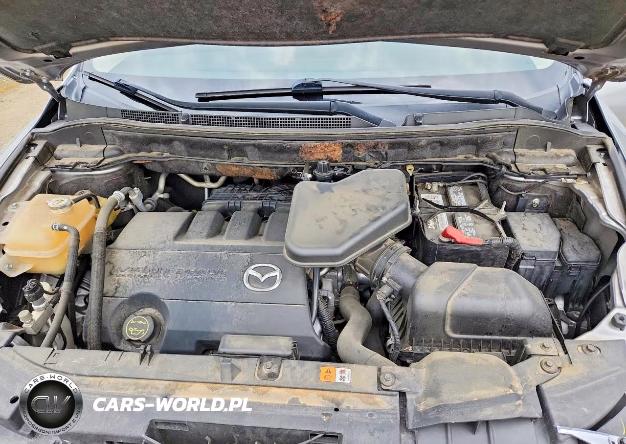2010 Mazda Cx-9 VIN:JM3TB2MA1A0227728 - 12