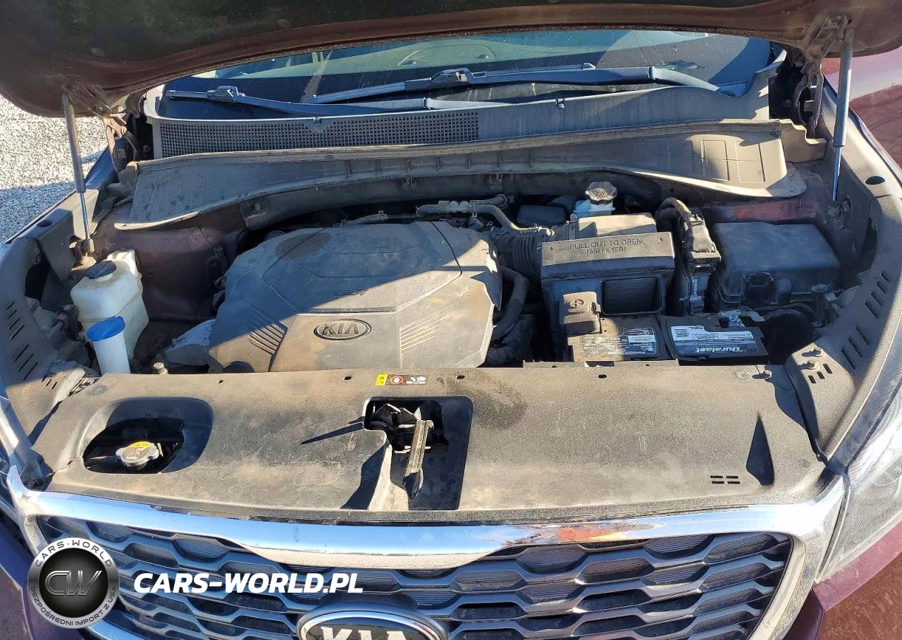 2019 Kia Sorento Ex V6 VIN:5XYPH4A54KG457142 - 12