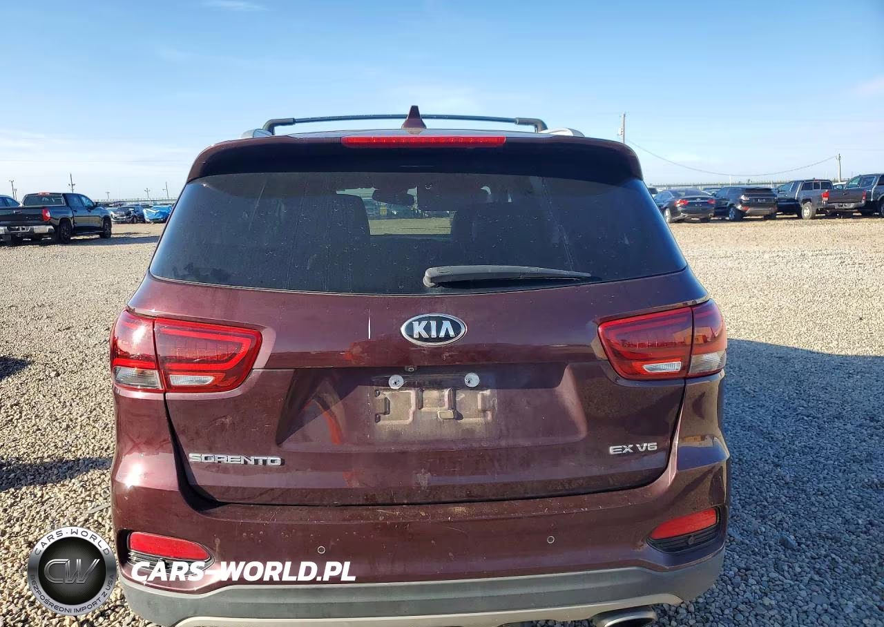 2019 Kia Sorento Ex V6 VIN:5XYPH4A54KG457142 - 6