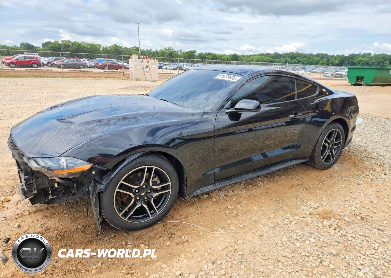 2019 Ford Mustang VIN:1FA6P8TH0K5116929 - 1