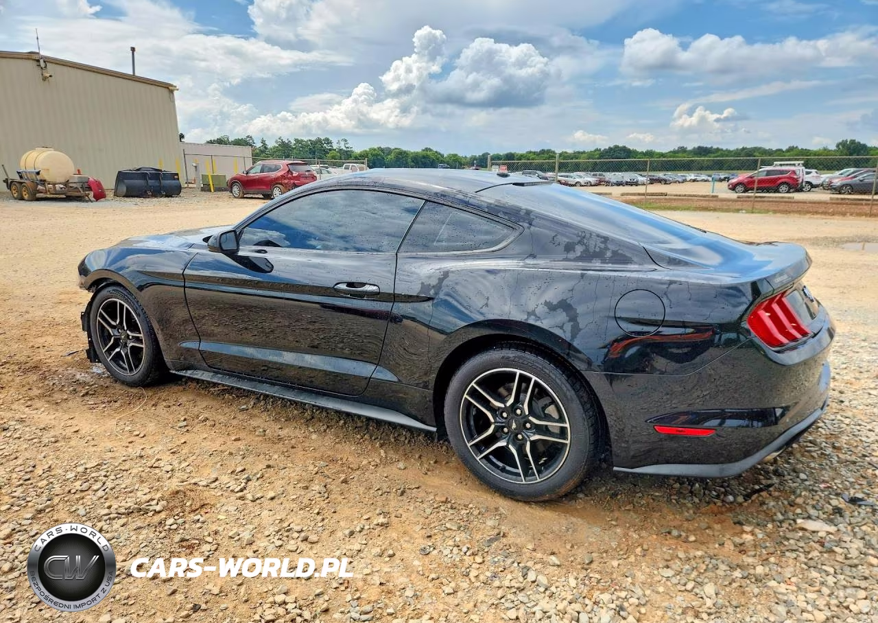 2019 Ford Mustang VIN:1FA6P8TH0K5116929 - 2