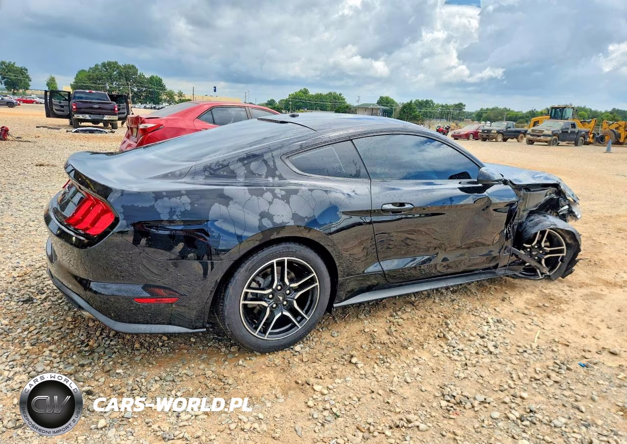 2019 Ford Mustang VIN:1FA6P8TH0K5116929 - 3
