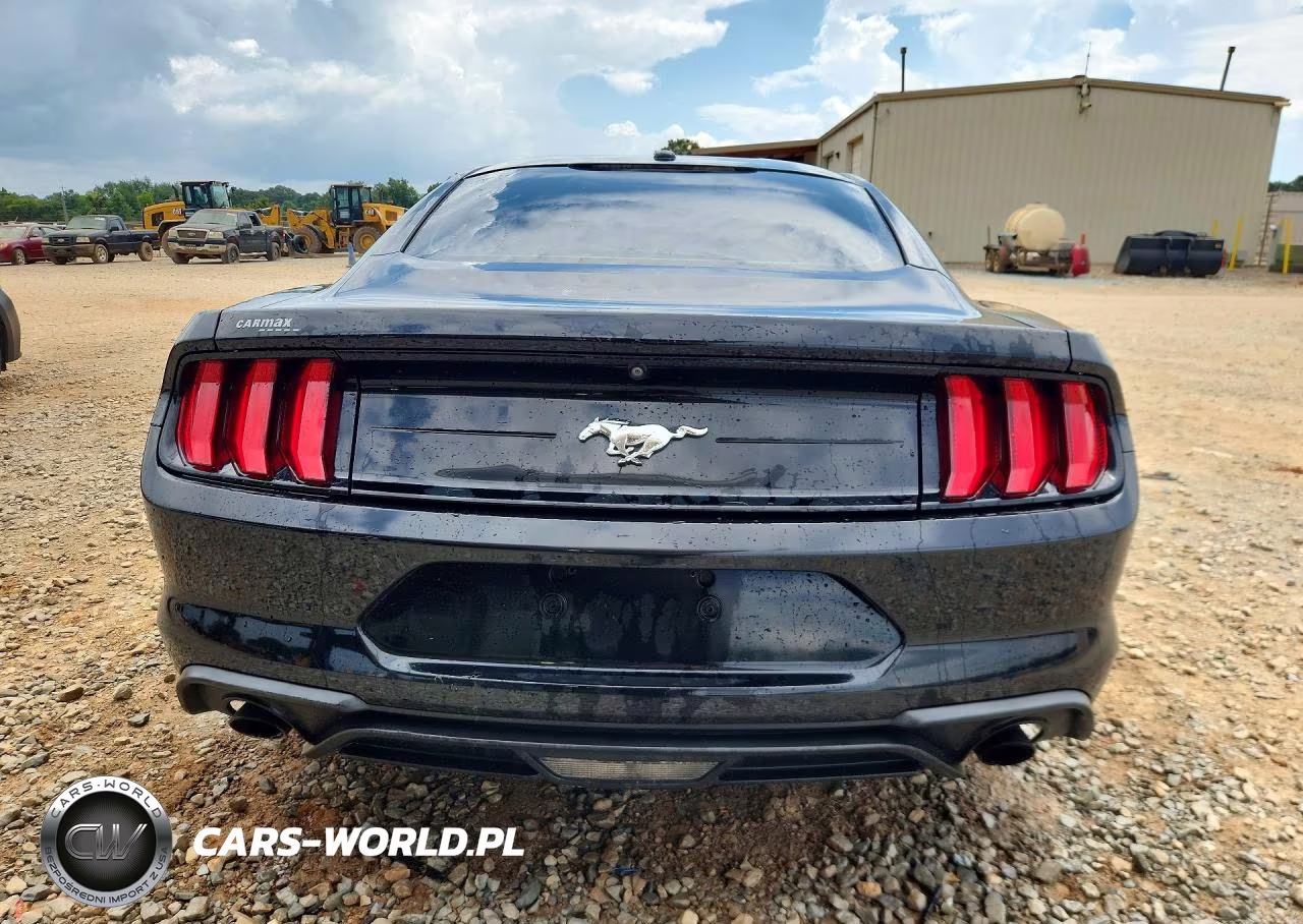 2019 Ford Mustang VIN:1FA6P8TH0K5116929 - 6