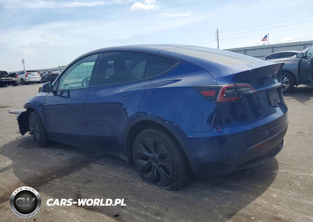 2025 Tesla Model Y VIN:7SAYGDED9SA379196 - 2
